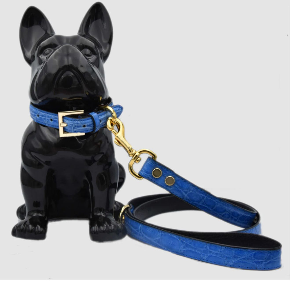 Genuine Crocodile Leather Dog Lish And Collar