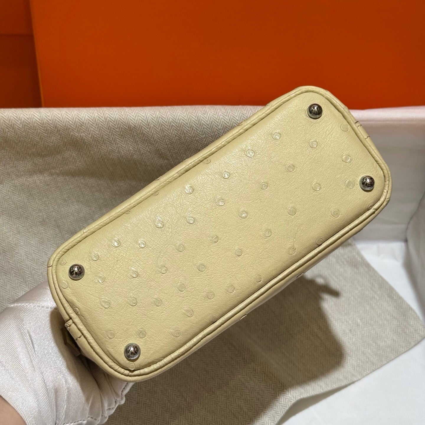 Womens Genuine Ostrich SKin Leather Shell Promennade Trapezoid Cross Body Bag Mini