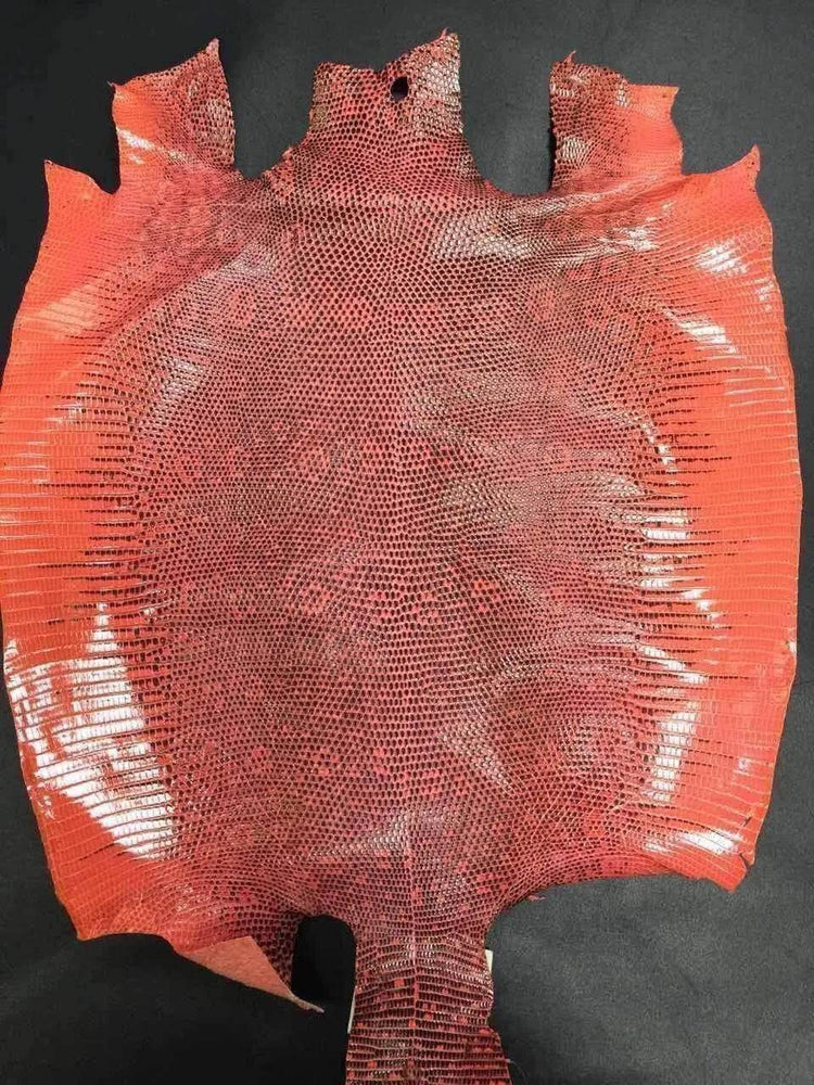 Lizard Skin Leather Colorway