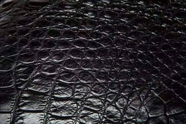 Mens Black Genuine Crocodile Bone Leather Briefcase