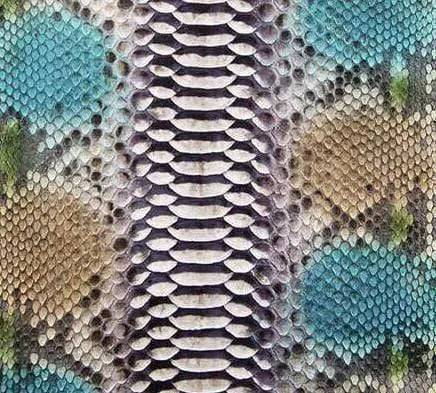 Python Skin Leather Colorway