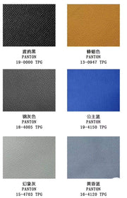 France Epsom Leather Colorway