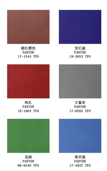 France Epsom Leather Colorway