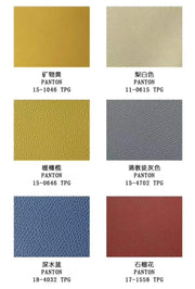 France Epsom Leather Colorway