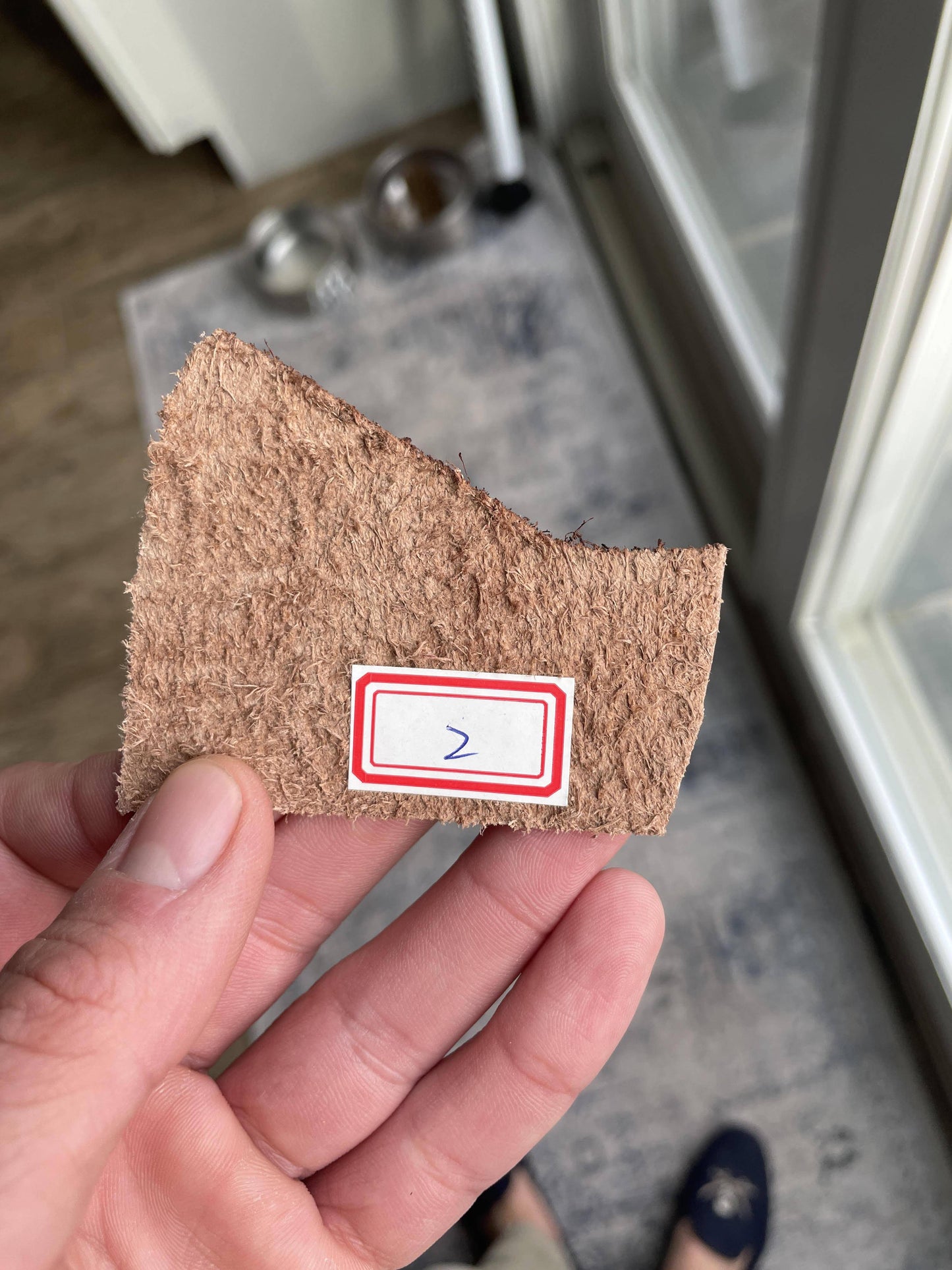 Preorder Genuine Siamese Crocodile Belly Leather Camera Cross Body Bag