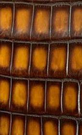 Vintage Genuine Crocodile Skin Leather Passport Case Holder