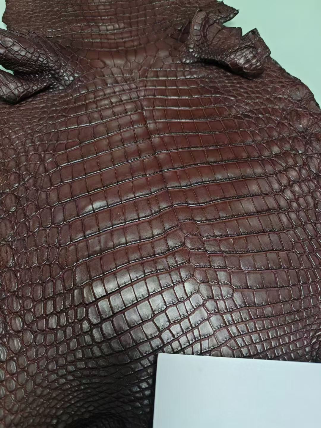 Preorder Womens Genuine Crocodile Skin Top Handle Canvas Bag Large