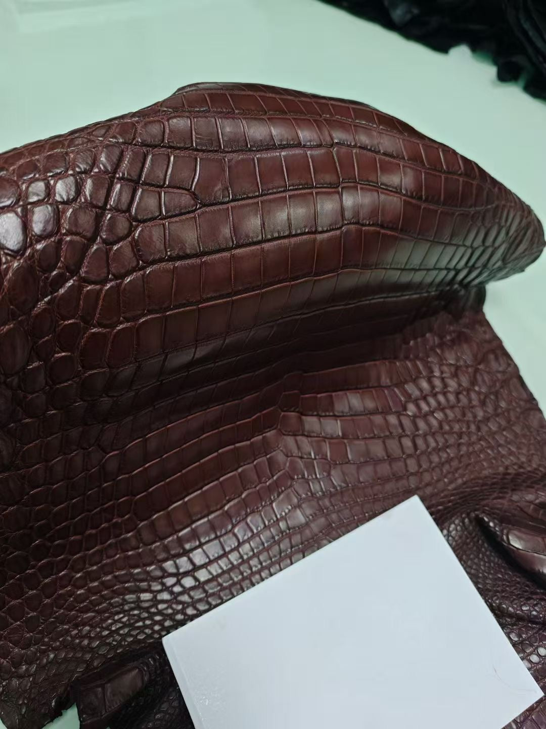 Preorder Womens Genuine Crocodile Skin Top Handle Canvas Bag Large