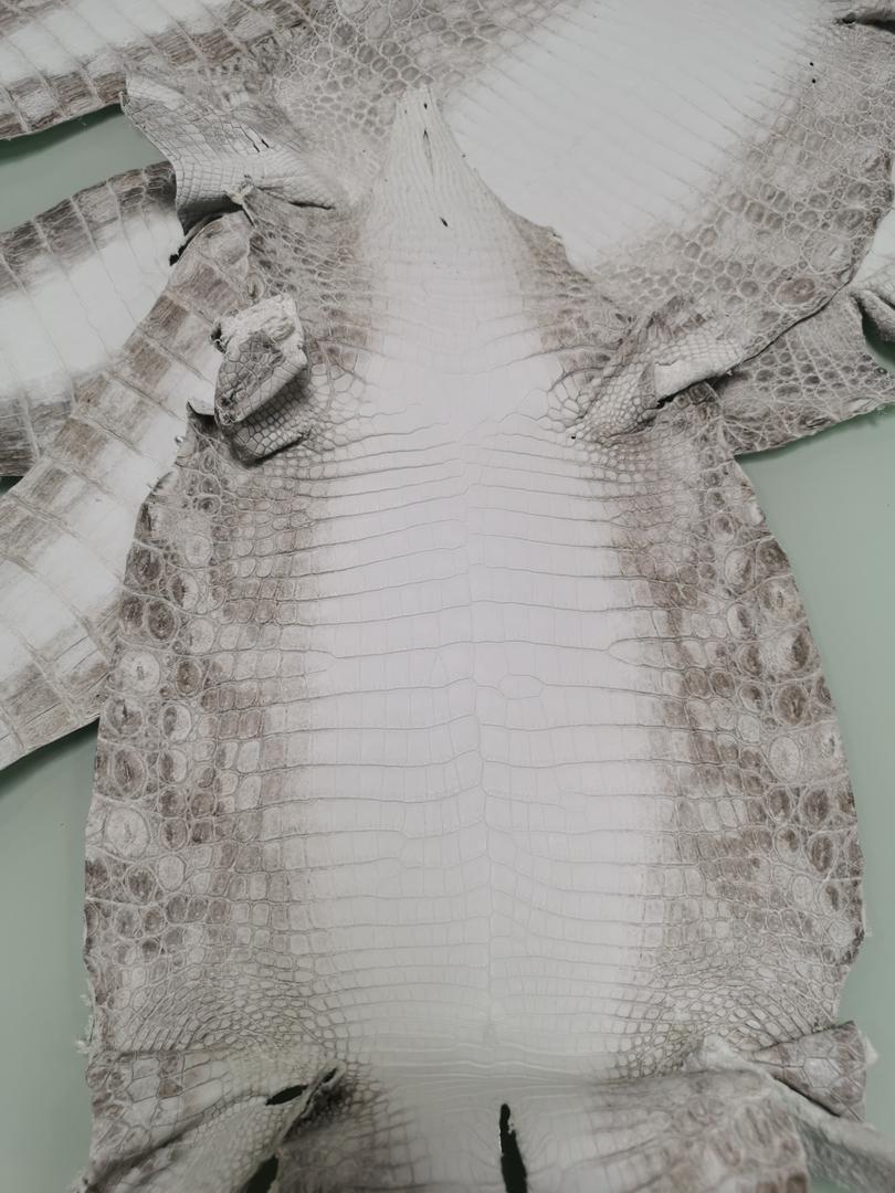 Preorder Genuine Crocodile Skin Leather Wallet Himalayan