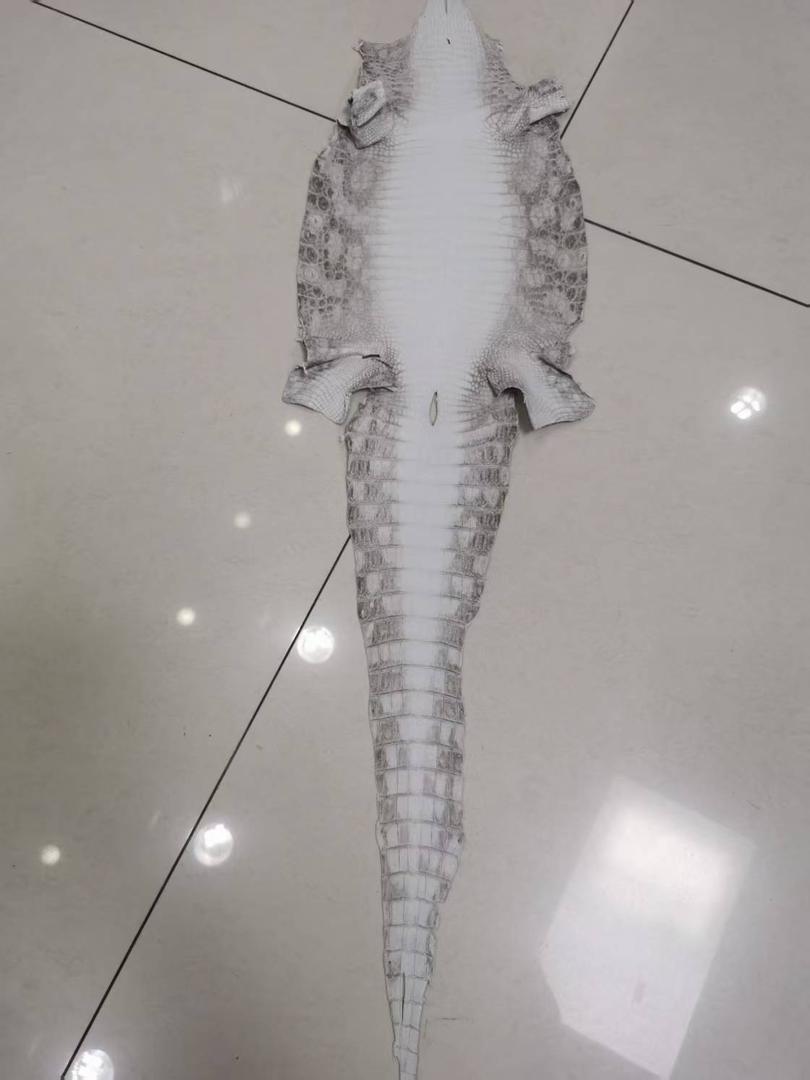 Preorder Genuine Crocodile Skin Leather Wallet Himalayan