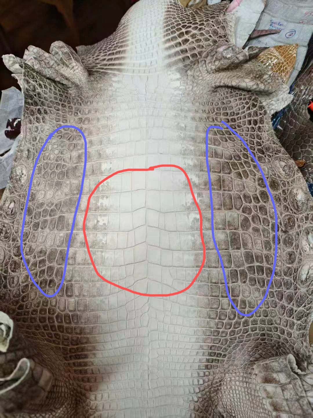 Preorder Men Crocodile Leather Loafers  Himalayan