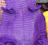 Crocodile  Skin Belly Leather Colorway