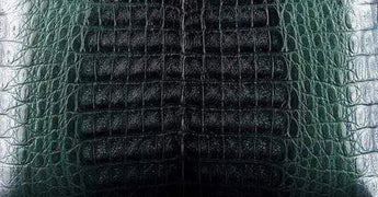 Crocodile  Skin Belly Leather Colorway