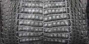 Crocodile  Skin Belly Leather Colorway