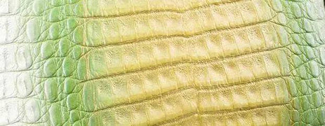 Crocodile  Skin Belly Leather Colorway