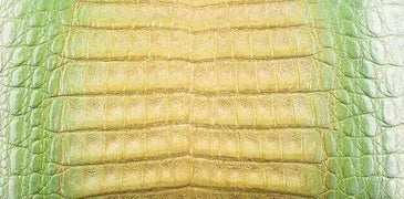 Crocodile  Skin Belly Leather Colorway