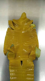 Crocodile  Skin Belly Leather Colorway