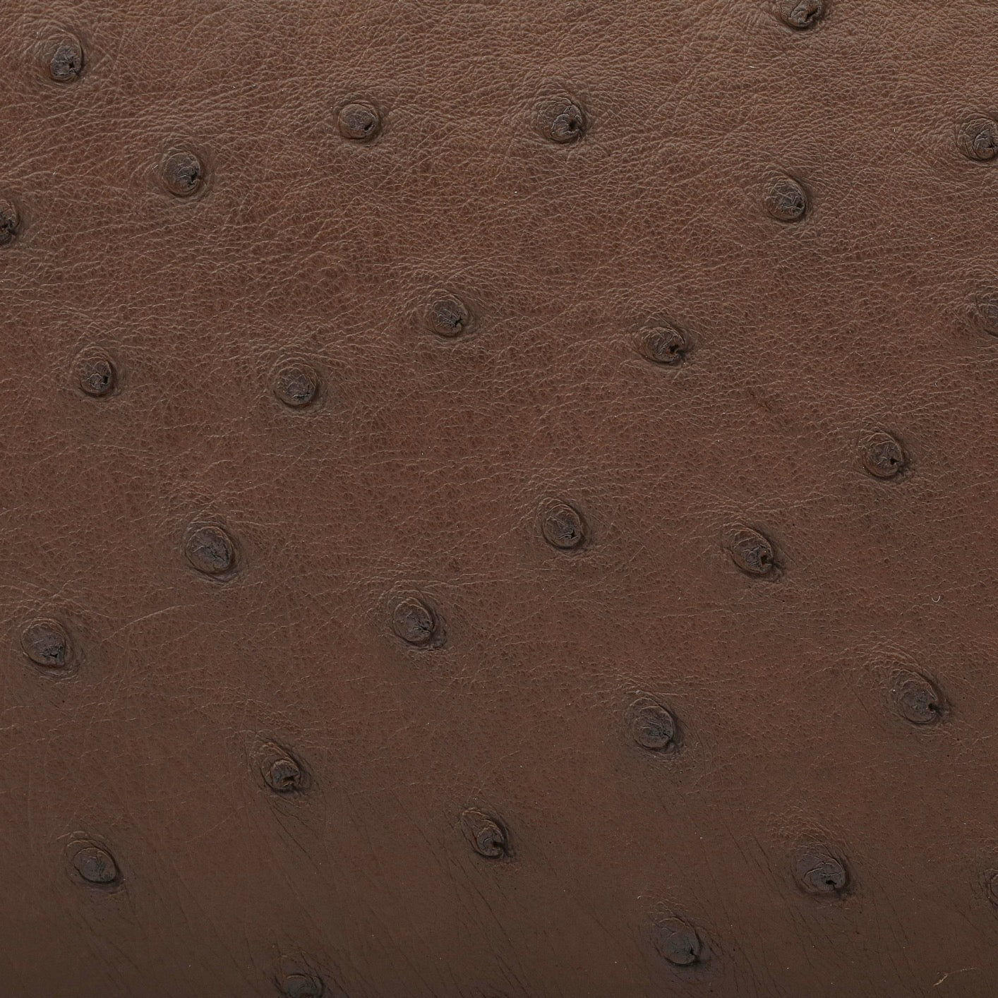 Womens Genuine Ostrich Skin Leathe Top Handle Pillow Bag