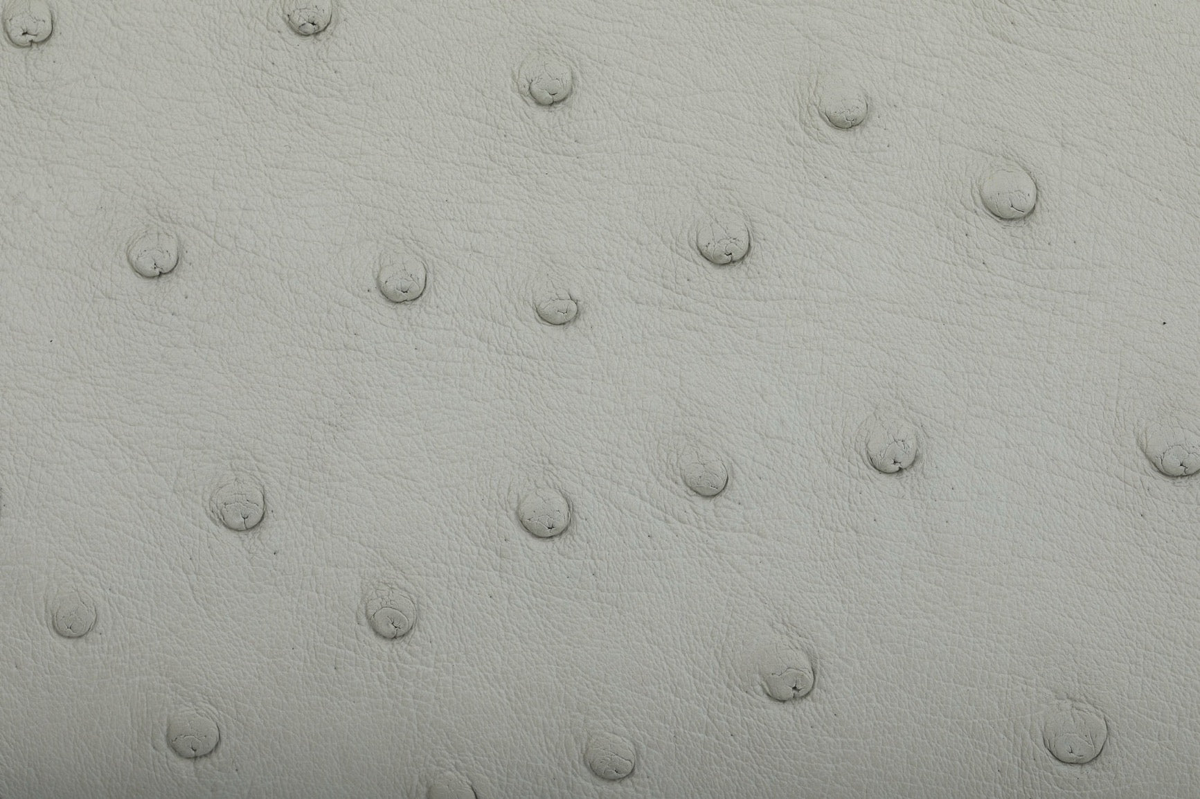 Womens Genuine Ostrich Skin Leathe Top Handle Satchel Bag