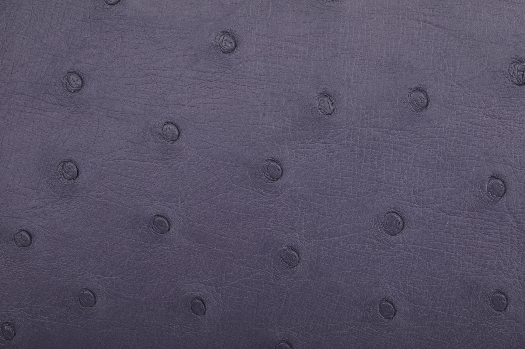 Ostrich Leather Mini Shell Bag Bamboo Handle Top Handle Cross Body Handbag