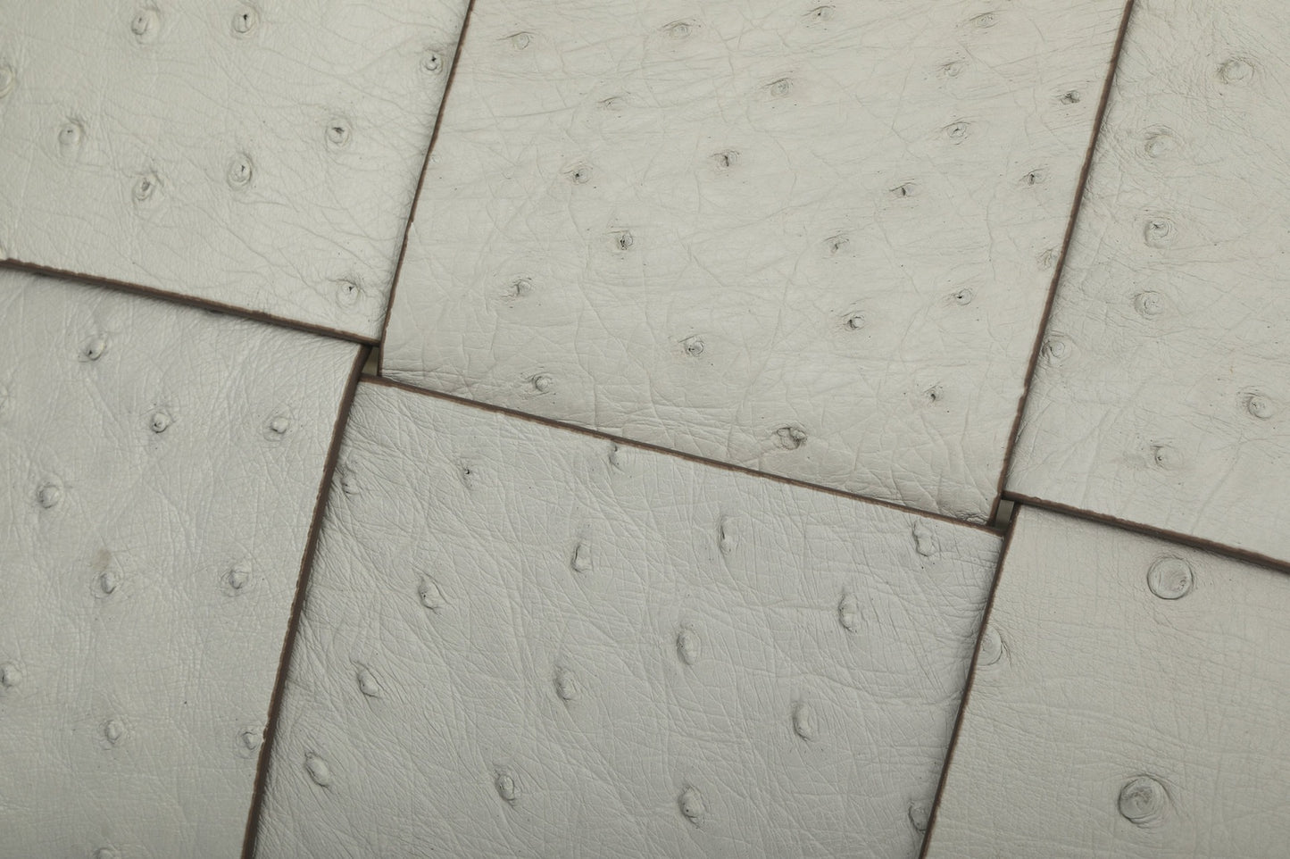 Genuine Ostrich Leather Mini Woven Satchel Top Handle Bag