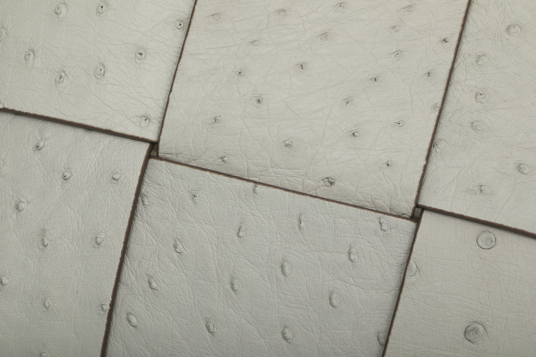 Genuine Ostrich Leather Mini Woven Satchel Top Handle Bag