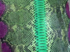 Python Skin Leather Colorway