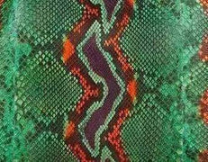 Python Skin Leather Colorway