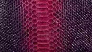 Python Skin Leather Colorway