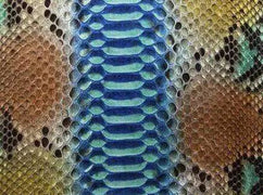 Python Skin Leather Colorway