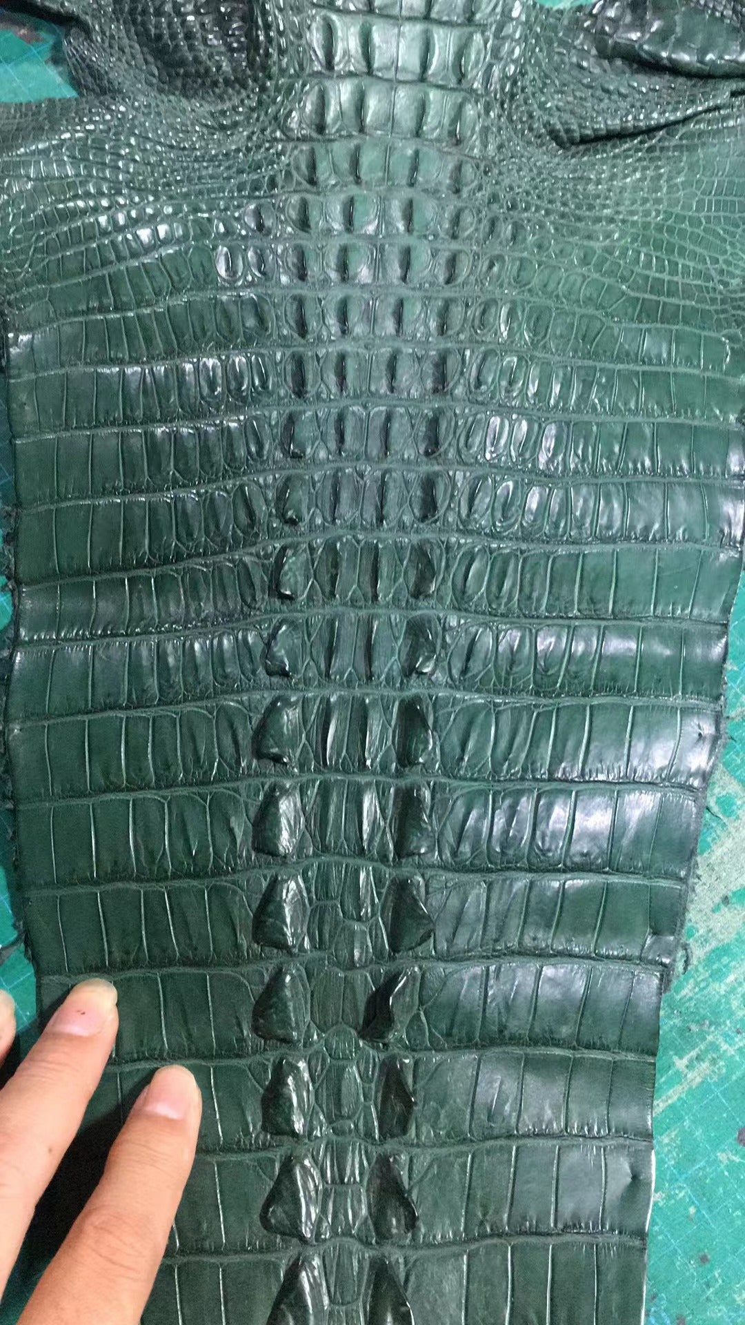 Preorder Genuine Crocodile Skin Bone  Leather Backpack Dark Green