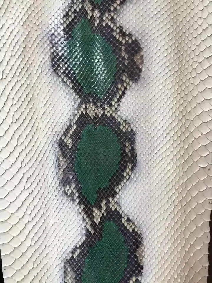 Python Skin Leather Colorway