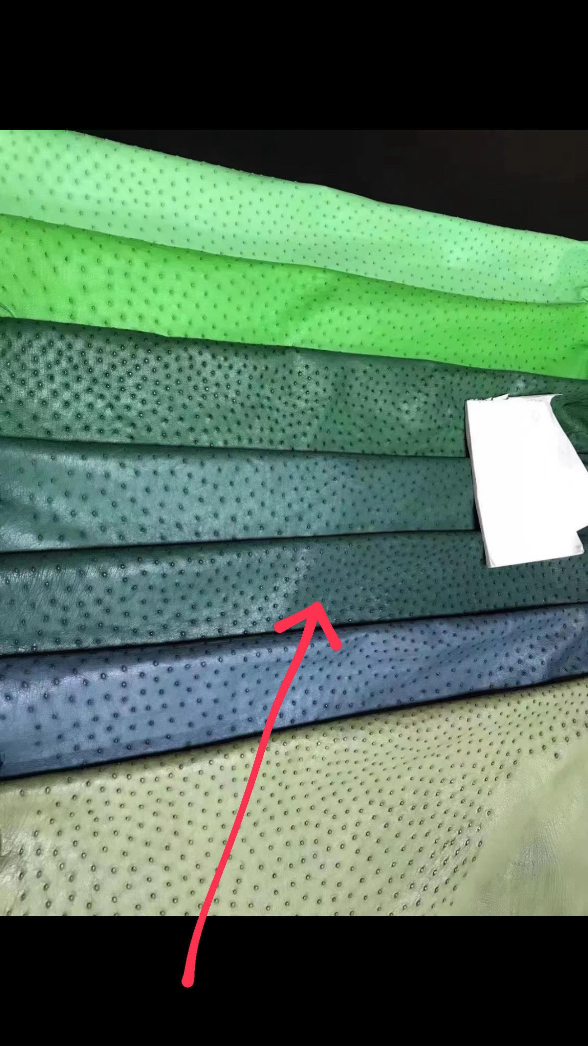 Preorder Canvas & Ostrich Skin Leather Shopper Tote Bag