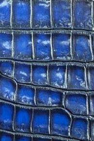 Vintage Genuine Crocodile Skin Leather  Passport Case Holder